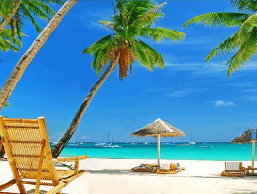 Goa Tour l President Cab